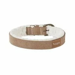 Koolaburra By UGG Pet Faux Suede Collar 5 Koolaburra By UGG Pet Faux Suede Collar -Koolaburra by UGG shop unnamed file 1085