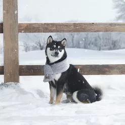 Koolaburra By UGG Cooper Sherpa Pet Scarf 5 Koolaburra By UGG Cooper Sherpa Pet Scarf -Koolaburra by UGG shop unnamed file 1424